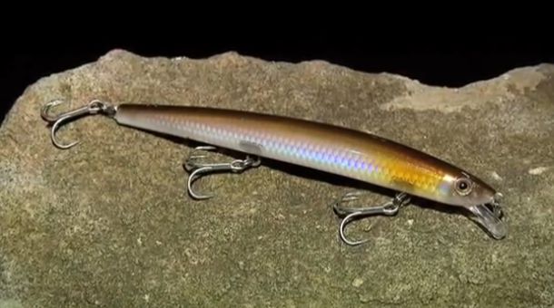 VIDEO: How to use – Rapala Max Rap